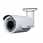 Optimus IP-E015.0(3.6-10)P IP-камера